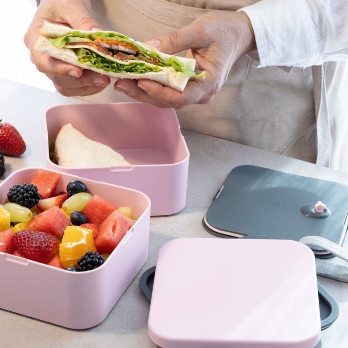 Cuisena RPET Square Bento Box - 2 layer